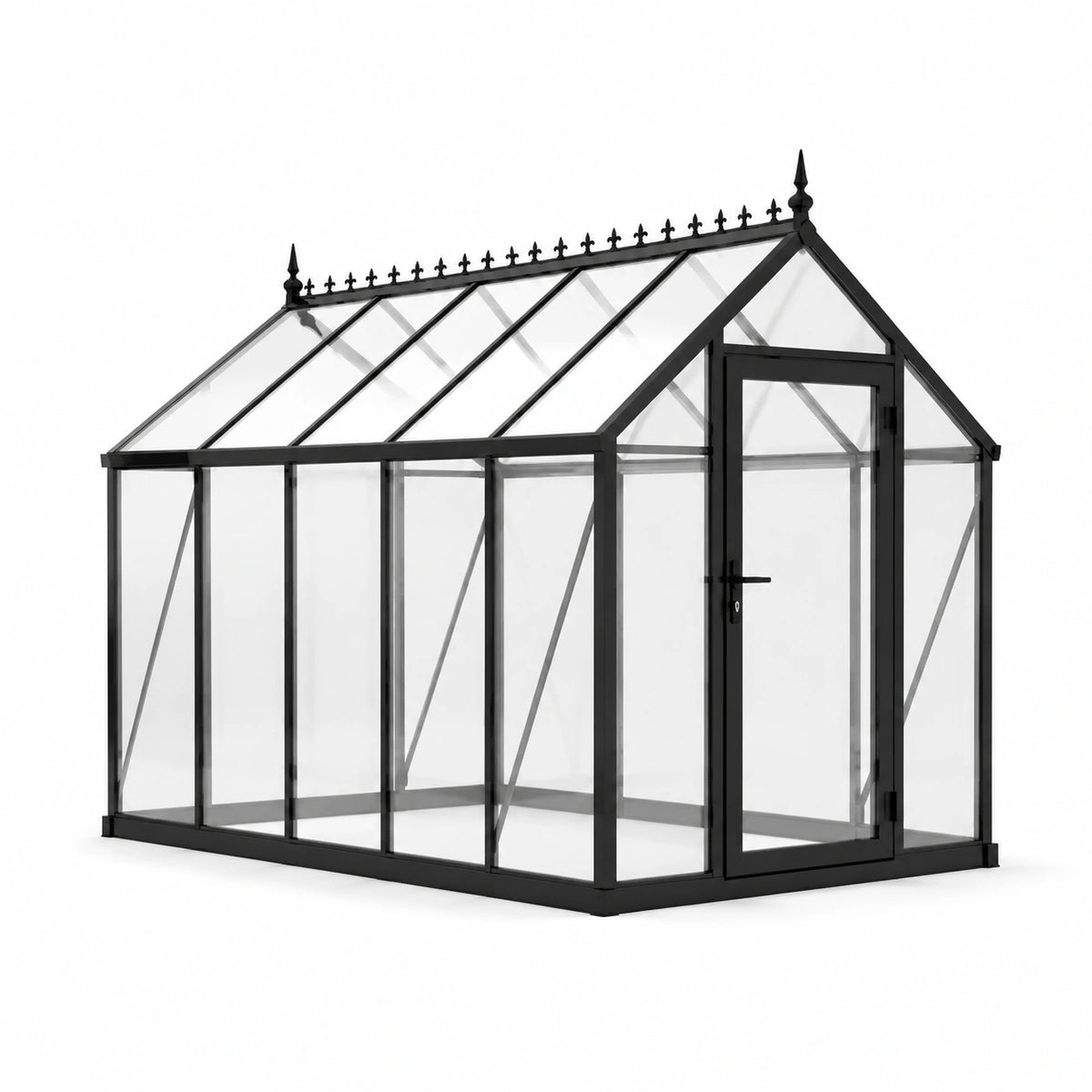 Serra da giardino in alluminio nero con pannelli trasparenti e porta a battente, 250 x 190 x 195 cm